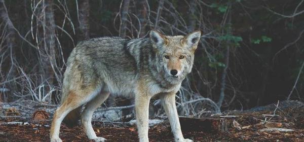 Drugie życie ubrań: Jak modnie zestawiać i nosić to, co już masz w szafie?