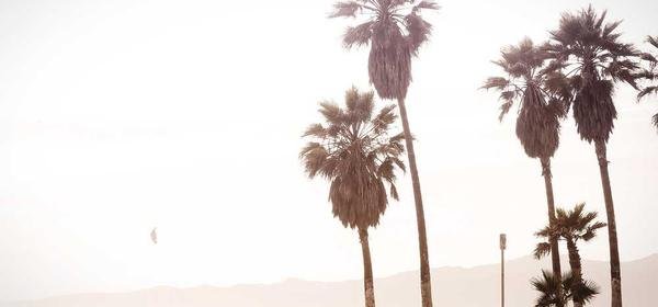 Inspiracje stylistyczne: Jak nosić produkty z nowej kolekcji?