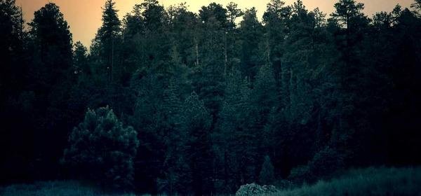 Limitowane edycje: Ekskluzywne produkty, które szybko znikają