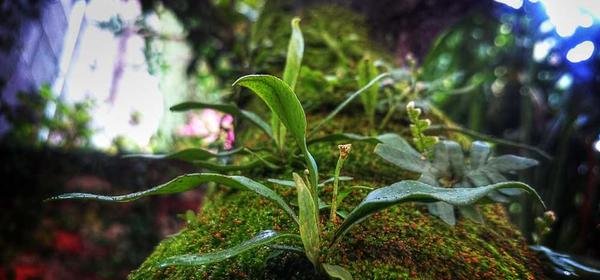 Porównanie metod: Która technika jest najlepsza?