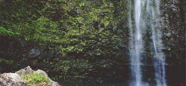 Modna podstawowa garderoba: Must-have elementy każdej szafy