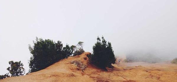 Przechowywanie torebek: Jak przechowywać torebki, aby zachować ich kształt