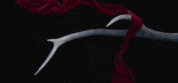 Modowe inspiracje gwiazd i influencerów: Jak kopiować ich styl?